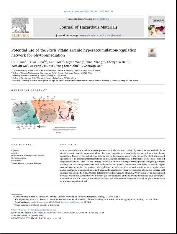 -)F¦-¦ -¦+-++-+ Potential use of the Pteris vittata arse.png
